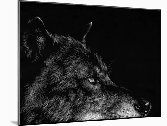 Scratchboard Wolf I-Julie Chapman-Mounted Art Print