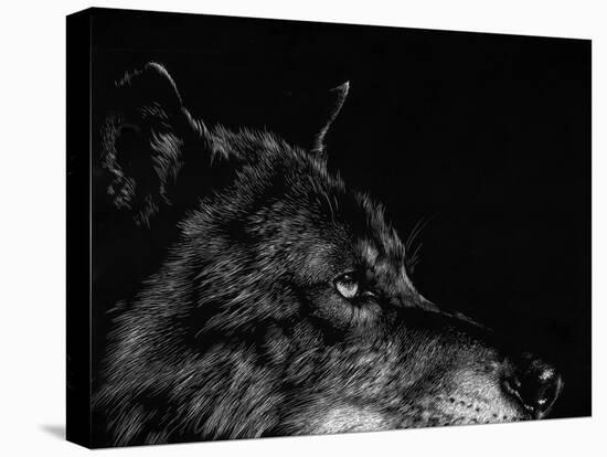 Scratchboard Wolf I-Julie Chapman-Stretched Canvas