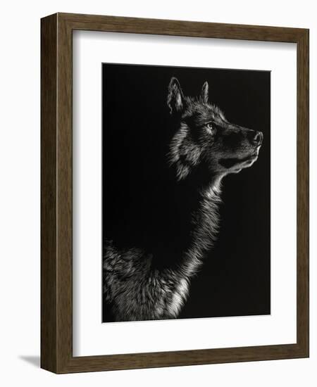 Scratchboard Wolf II-Julie Chapman-Framed Art Print