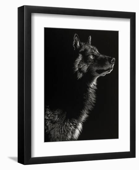 Scratchboard Wolf II-Julie Chapman-Framed Art Print