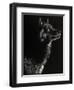 Scratchboard Wolf II-Julie Chapman-Framed Art Print