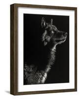 Scratchboard Wolf II-Julie Chapman-Framed Art Print