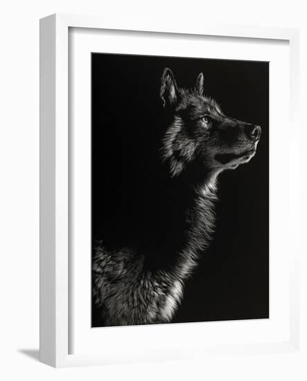 Scratchboard Wolf II-Julie Chapman-Framed Art Print