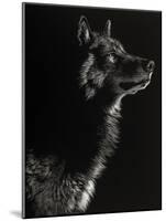 Scratchboard Wolf II-Julie Chapman-Mounted Art Print
