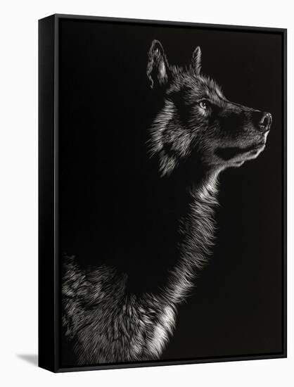 Scratchboard Wolf II-Julie Chapman-Framed Stretched Canvas