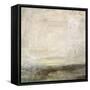 Scratched Lens-Jodi Maas-Framed Stretched Canvas