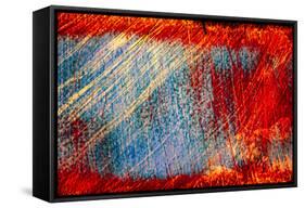 Scratches-Ursula Abresch-Framed Stretched Canvas