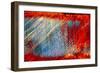 Scratches-Ursula Abresch-Framed Photographic Print