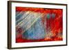 Scratches-Ursula Abresch-Framed Photographic Print