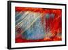 Scratches-Ursula Abresch-Framed Photographic Print