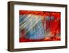 Scratches-Ursula Abresch-Framed Photographic Print