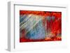 Scratches-Ursula Abresch-Framed Photographic Print