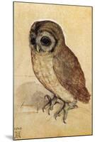 Screech Owl-null-Mounted Poster