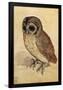 Screech Owl-null-Framed Poster