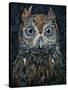 Screech Owl-Jamin Still-Stretched Canvas