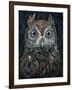 Screech Owl-Jamin Still-Framed Giclee Print