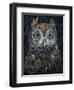Screech Owl-Jamin Still-Framed Giclee Print