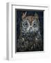 Screech Owl-Jamin Still-Framed Giclee Print