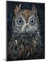 Screech Owl-Jamin Still-Mounted Giclee Print