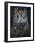 Screech Owl-Jamin Still-Framed Giclee Print