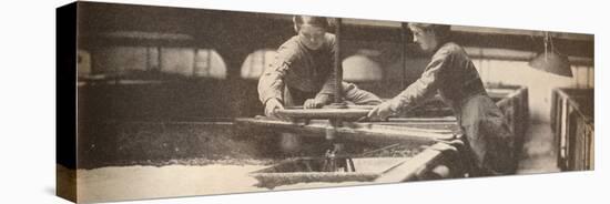 Screwing Down the Yeast in a Burton-On-Trent Brewery', c1916, (1935)-Unknown-Stretched Canvas