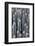 Screws-Chris Henderson-Framed Photographic Print