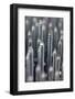 Screws-Chris Henderson-Framed Photographic Print