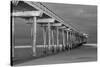 Scripps Pier BW I-Lee Peterson-Stretched Canvas