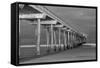 Scripps Pier BW I-Lee Peterson-Framed Stretched Canvas