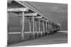 Scripps Pier BW I-Lee Peterson-Mounted Photographic Print