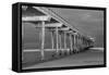 Scripps Pier BW I-Lee Peterson-Framed Stretched Canvas