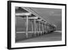 Scripps Pier BW I-Lee Peterson-Framed Photo