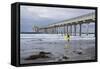 Scripps Pier I-Lee Peterson-Framed Stretched Canvas