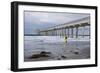 Scripps Pier I-Lee Peterson-Framed Photographic Print