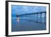 Scripps Pier I-Lee Peterson-Framed Photo
