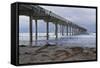 Scripps Pier II-Lee Peterson-Framed Stretched Canvas