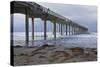 Scripps Pier II-Lee Peterson-Stretched Canvas