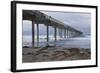 Scripps Pier II-Lee Peterson-Framed Photographic Print