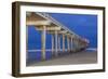 Scripps Pier II-Lee Peterson-Framed Photo