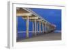 Scripps Pier II-Lee Peterson-Framed Photo