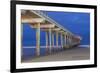 Scripps Pier II-Lee Peterson-Framed Photographic Print