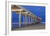 Scripps Pier II-Lee Peterson-Framed Photo