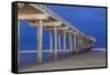 Scripps Pier II-Lee Peterson-Framed Stretched Canvas