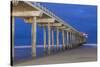 Scripps Pier II-Lee Peterson-Stretched Canvas