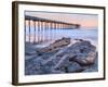 Scripps Pier III-Lee Peterson-Framed Photo