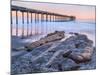 Scripps Pier III-Lee Peterson-Mounted Photo