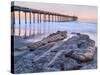 Scripps Pier III-Lee Peterson-Stretched Canvas