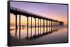 Scripps Pier, La Jolla, San Diego, California, United States of America, North America-Richard Cummins-Framed Stretched Canvas