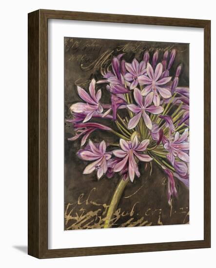 Scripted Agapanthus-Chad Barrett-Framed Art Print