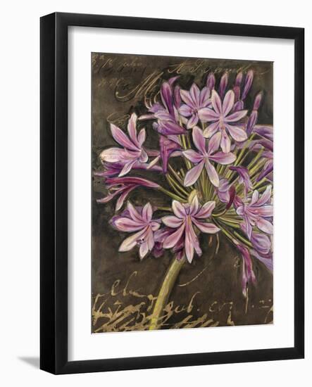 Scripted Agapanthus-Chad Barrett-Framed Art Print